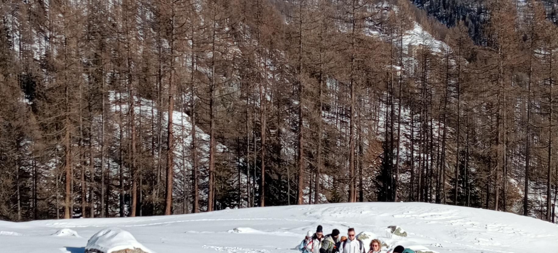 Snowshoe hike in Val di Nanaz