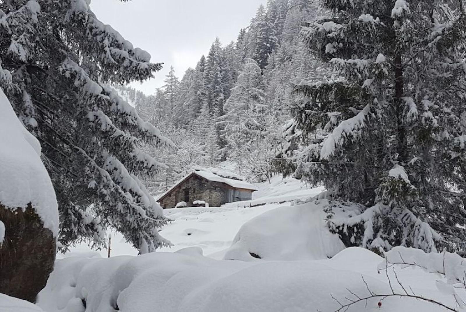 SNOWSHOEING – Valle della Legna Wild Experience