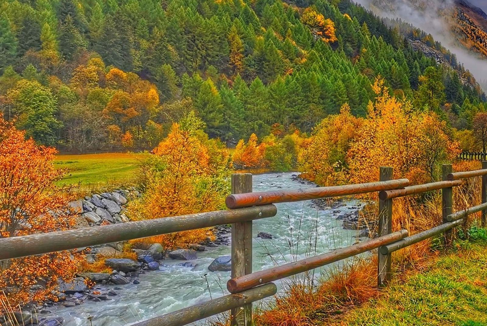Foliage, i colori dell’autunno